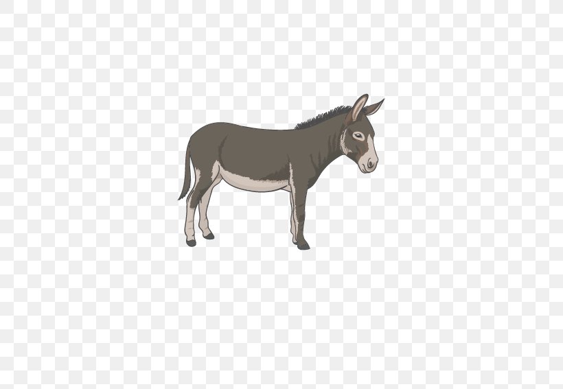 Donkey, PNG, 567x567px, Donkey, Animation, Horse, Horse Like Mammal, Livestock Download Free