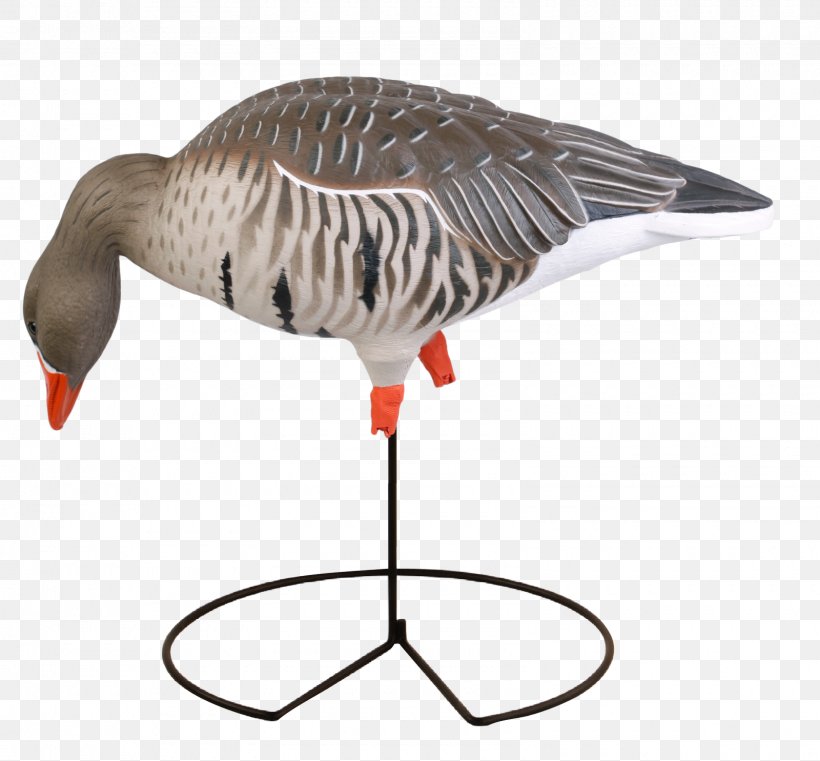 Greylag Goose Duck Mallard Decoy, PNG, 1600x1485px, Goose, Beak, Bird, Canada Goose, Decoy Download Free