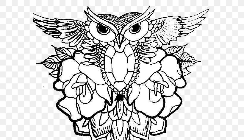 Little Owl Drawing Coloring Book, PNG, 600x470px, Owl, Adult, Animaatio, Art, Artwork Download Free