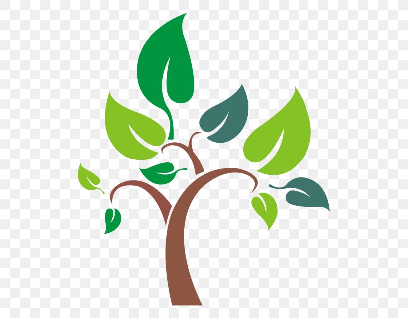 Tree, PNG, 640x640px, Tree, Branch, Brand, Designer, Flora Download Free