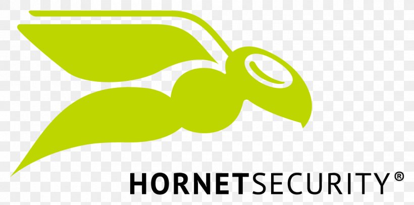Logo Hornetsecurity GmbH Image Graphic Design, PNG, 1240x614px, Logo, Area, Artwork, Brand, Computing Download Free