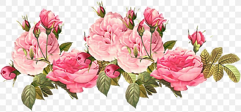 Rose Flower Paper Clip Art, PNG, 864x404px, Rose, Azalea, Cut Flowers, Floral Design, Floristry Download Free