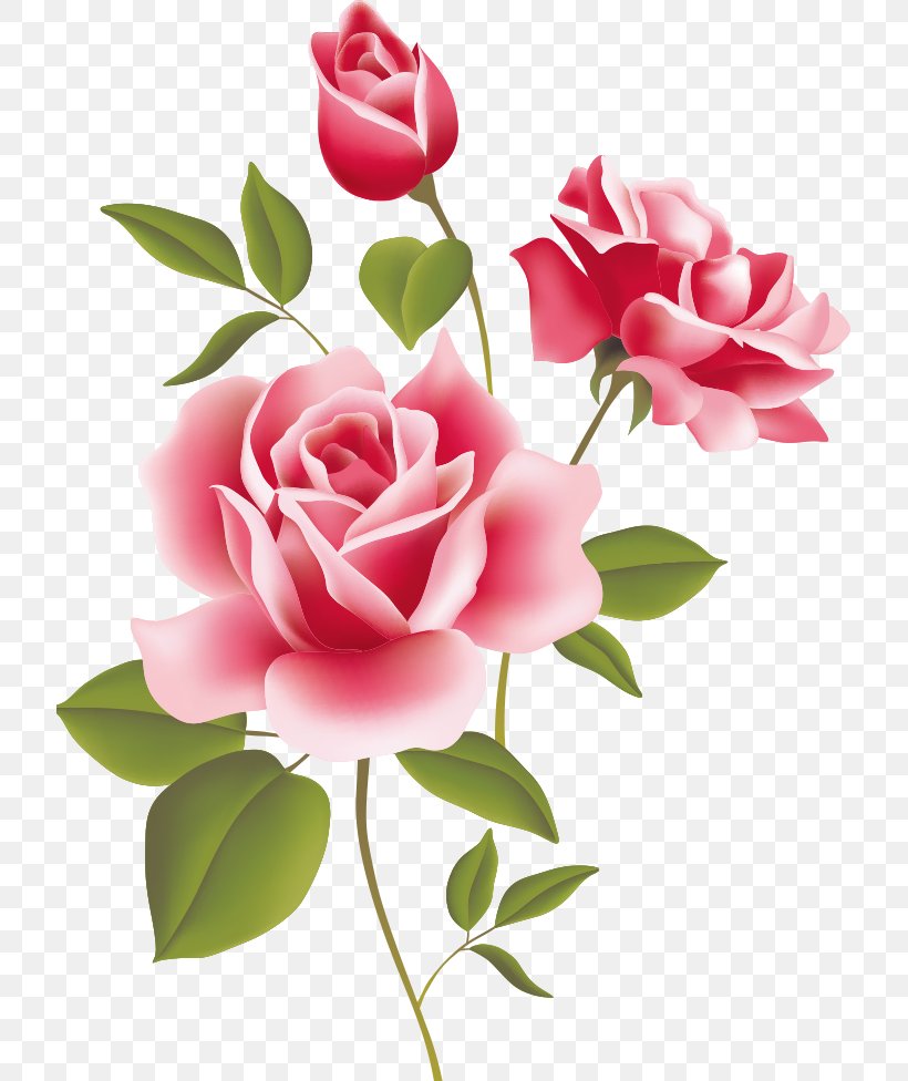 Still Life: Pink Roses Desktop Wallpaper Clip Art, PNG, 717x976px, Watercolor, Cartoon, Flower, Frame, Heart Download Free