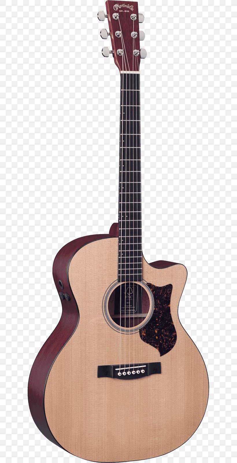 C. F. Martin & Company Dreadnought Steel-string Acoustic Guitar, PNG, 629x1600px, Watercolor, Cartoon, Flower, Frame, Heart Download Free