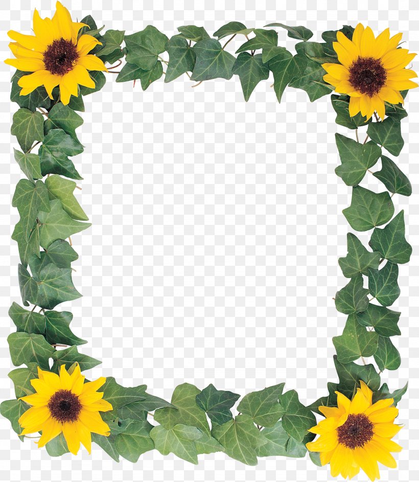 Common Sunflower Picture Frames, PNG, 2152x2475px, Common Sunflower, Annual Plant, Cut Flowers, Daisy Family, Digital Photo Frame Download Free