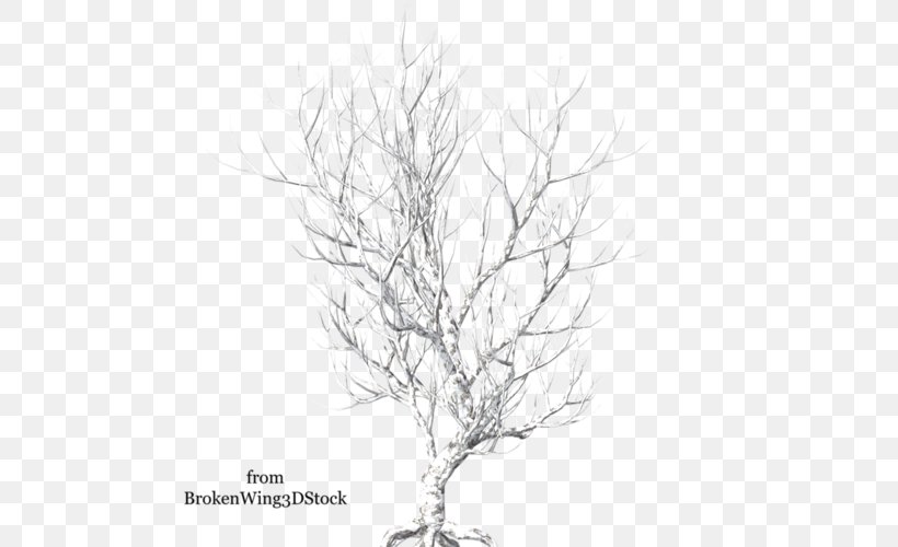 Light Black And White Line Art, PNG, 500x500px, Light, Black, Black And White, Branch, Camera Download Free