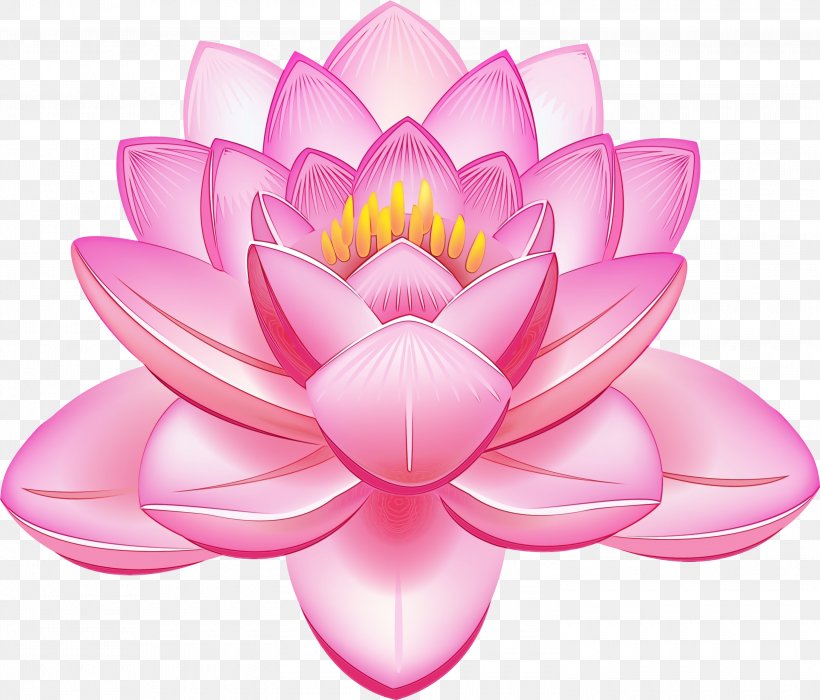 Lotus, PNG, 3000x2561px, Watercolor, Aquatic Plant, Flower, Lotus, Lotus Family Download Free