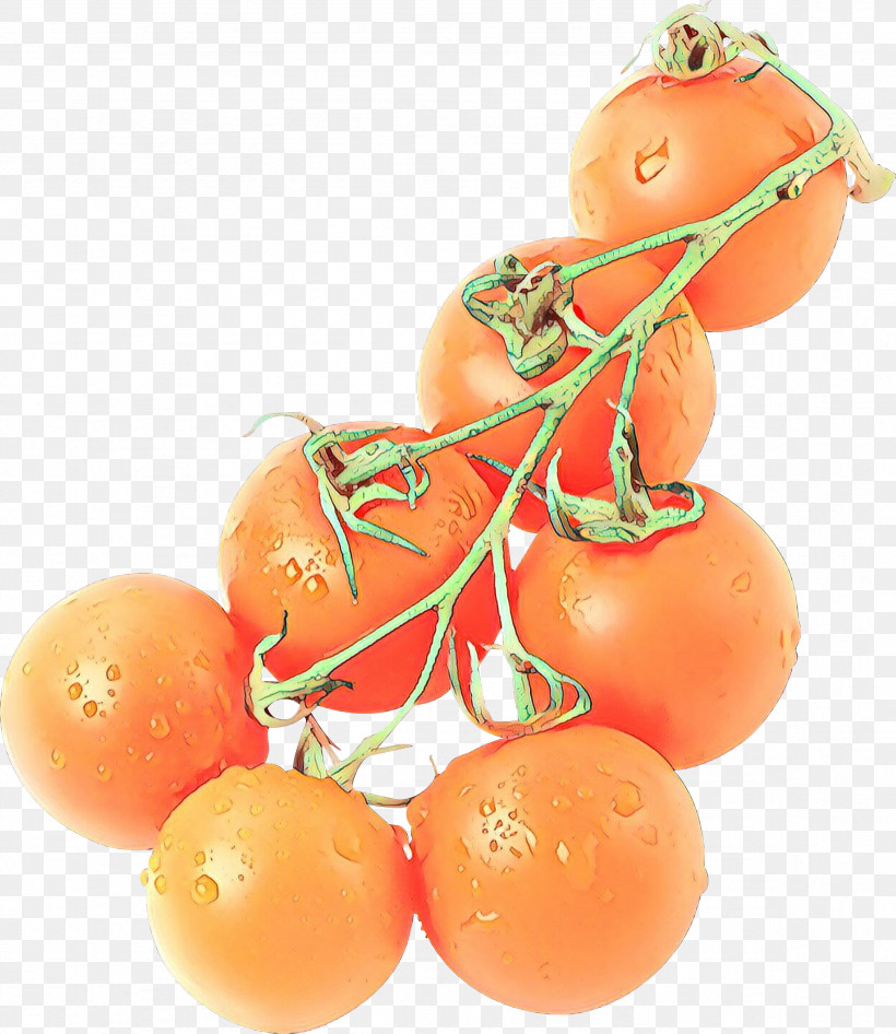 Orange, PNG, 2357x2721px, Orange, Cherry Tomatoes, Food, Fruit, Plant Download Free