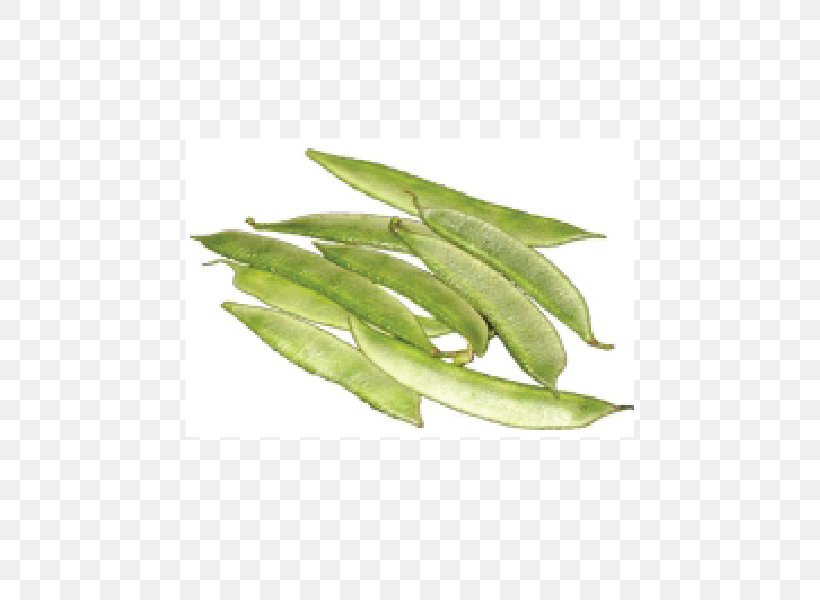 Vegetable Green Bean Legume Lima Bean Snap Pea, PNG, 600x600px, Vegetable, Auglis, Bean, Broad Bean, Commodity Download Free