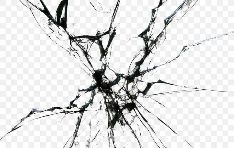 Window Glass, PNG, 1024x651px, Window, Black, Black And White, Branch, Glass Download Free
