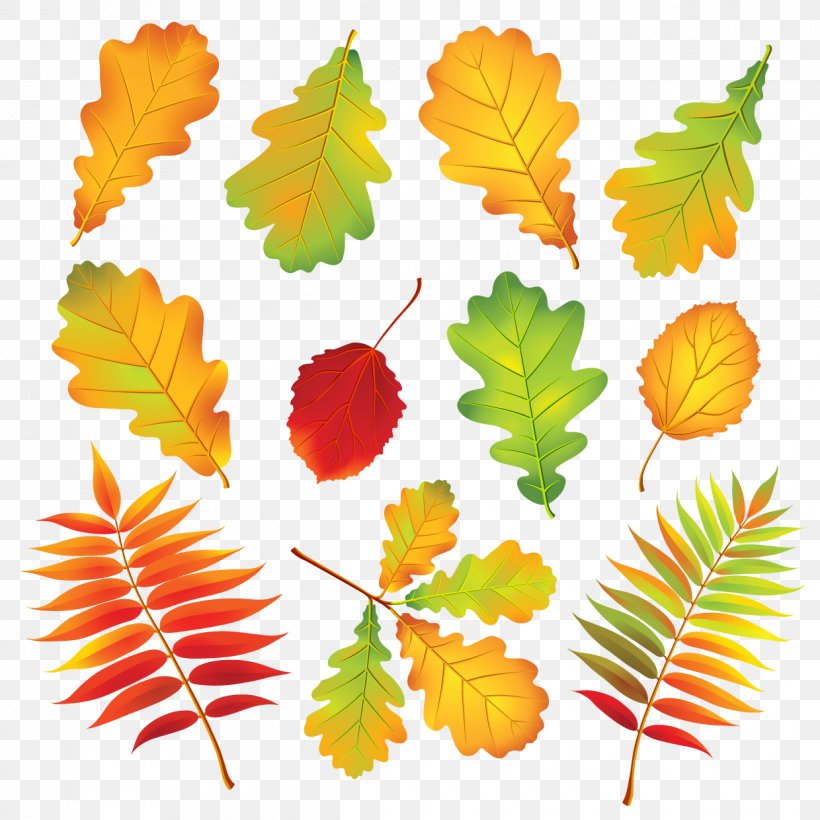 Autumn Leaf Color, PNG, 1240x1240px, Leaf, Autumn, Autumn Leaf Color, Branch, Color Download Free