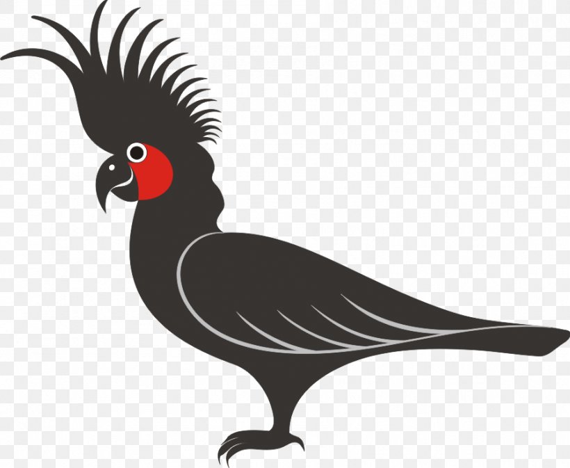 Cockatoo Silhouette Bird, PNG, 898x738px, Cockatoo, Beak, Bird, Black And White, Chicken Download Free