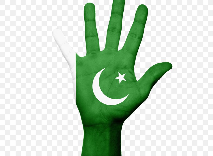 Flag Of Pakistan Gilgit-Baltistan Moroccan Arabic Urdu, PNG, 800x600px, Flag Of Pakistan, Android, Constitution Of Pakistan, Country, Finger Download Free