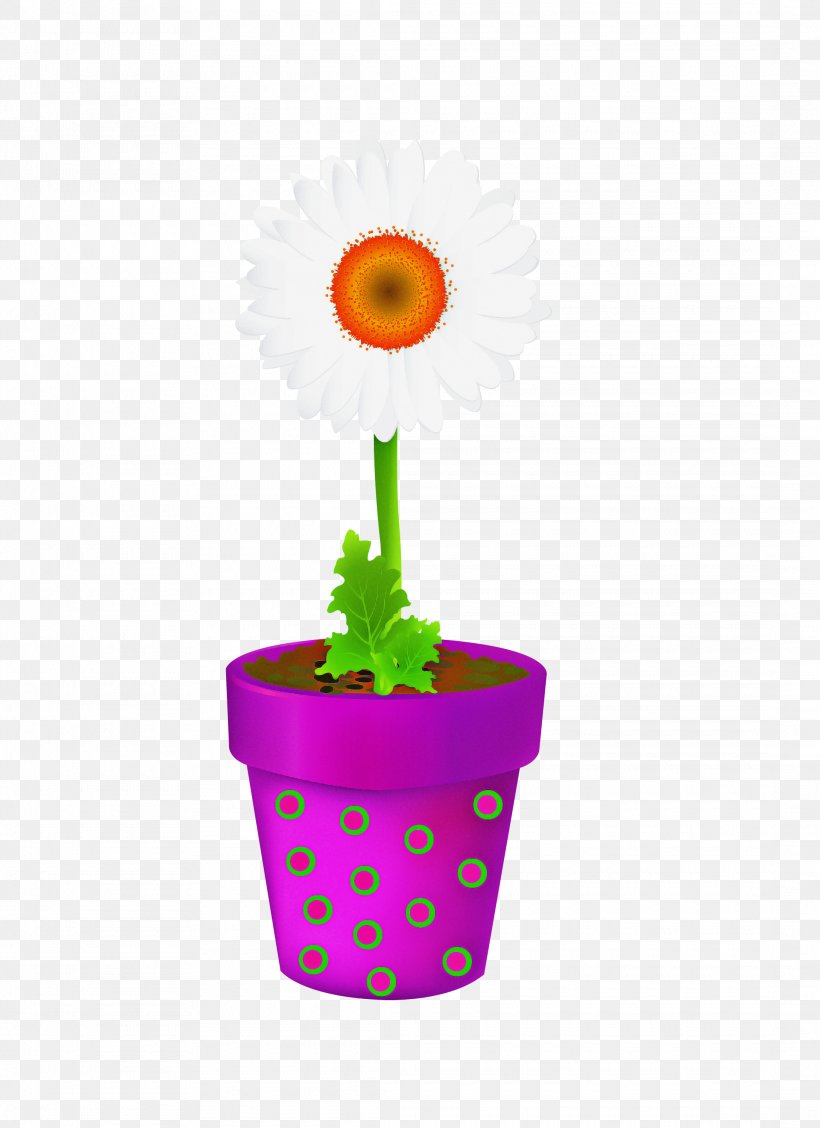 Flowerpot Gerbera Flower Plant Barberton Daisy, PNG, 2180x3000px, Flowerpot, Barberton Daisy, Daisy Family, Flower, Gerbera Download Free