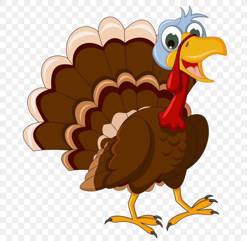 Black Turkey Turkey Meat Clip Art Thanksgiving, PNG, 701x800px, Black Turkey, Beak, Bird, Cartoon, Chicken Download Free