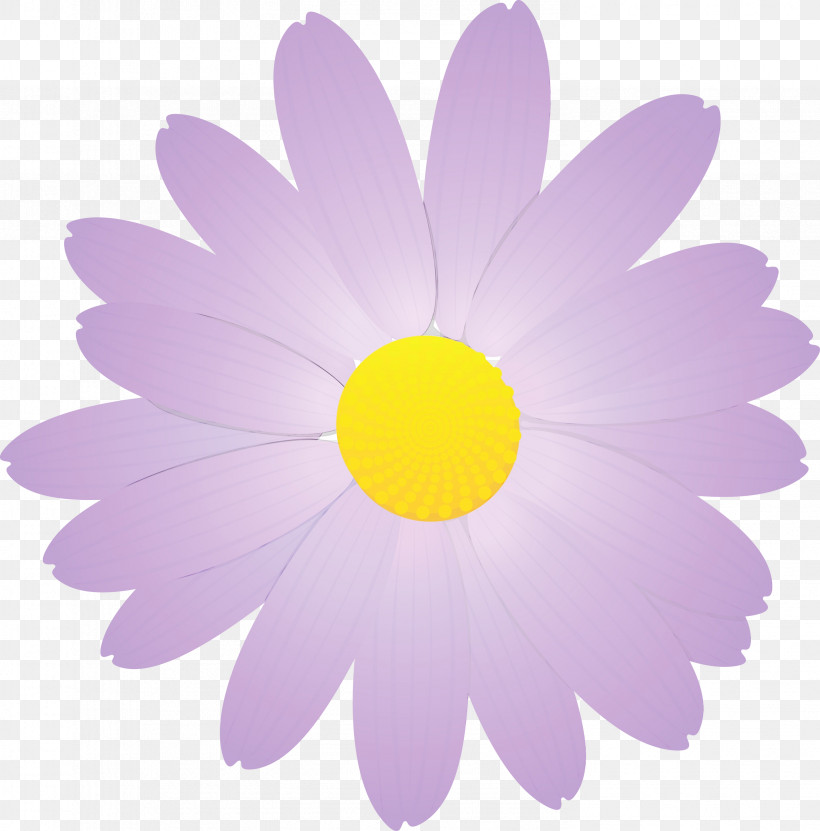 Daisy, PNG, 2958x3000px, Marguerite Flower, Aster, Camomile, Chamomile, Daisy Download Free