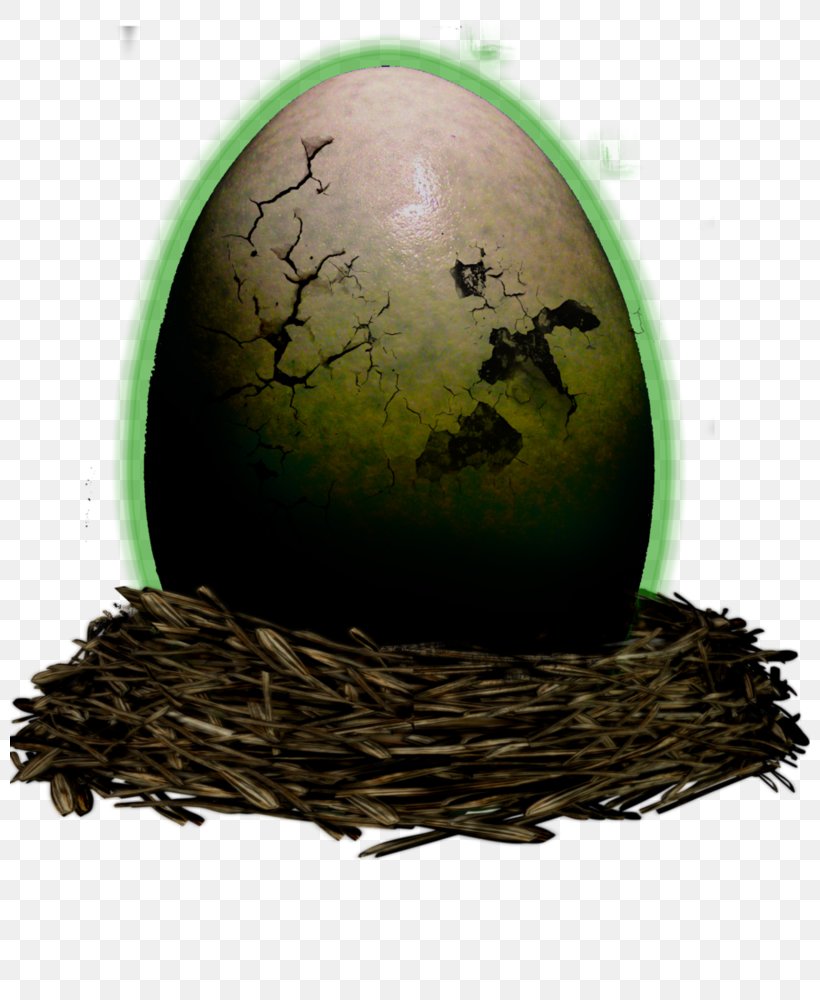 Egg, PNG, 800x1000px, Egg Download Free