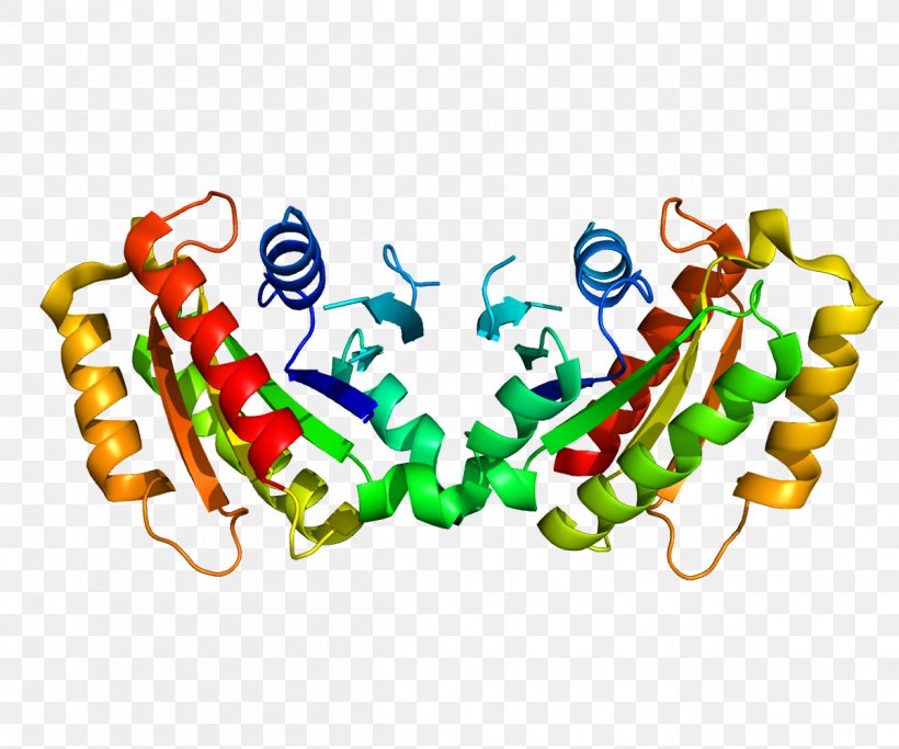 LRRK2 Parkinson's Disease Protein Leucine-rich Repeat Amino Acid, PNG, 1200x1000px, Protein, Amino Acid, Body Jewelry, Disease, Gene Download Free