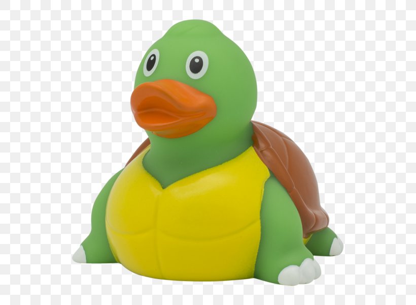 Rubber Duck Turtle Toy Baths, PNG, 600x600px, Duck, Amsterdam Duck Store, Amsterdam Wigeon, Animal, Bathroom Download Free
