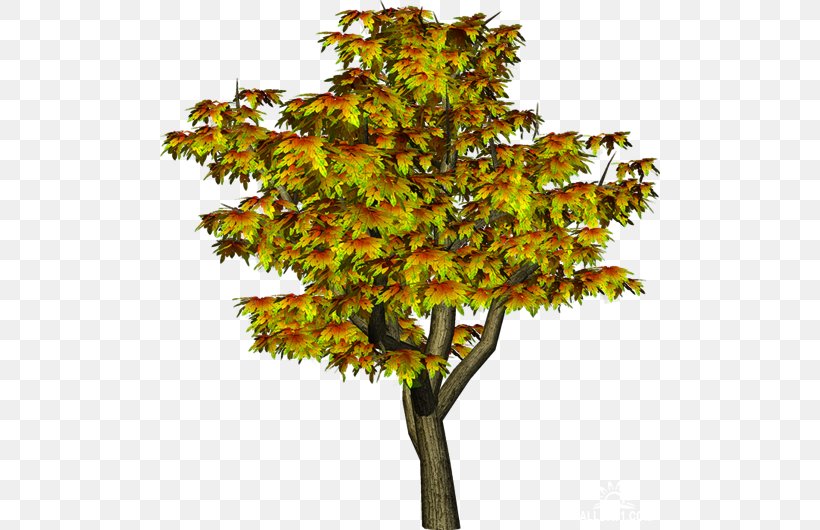 Tree Clip Art, PNG, 500x530px, Tree, Autumn, Branch, Deciduous, Document Download Free