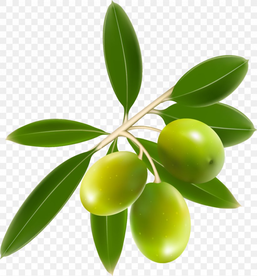 Olive Oil Clip Art, PNG, 1179x1267px, Olive, Color, Food, Fruit, Fruit Tree Download Free