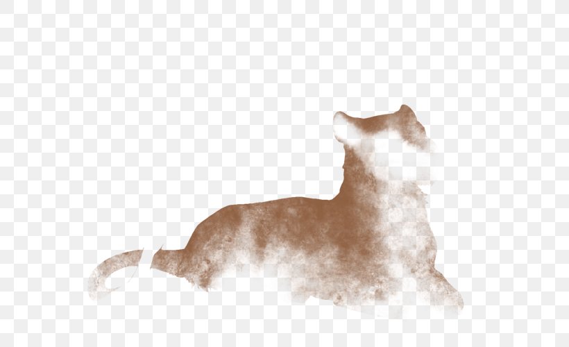 Puppy Kitten Whiskers Dog Breed Standard Schnauzer, PNG, 640x500px, Puppy, Breed, Carnivoran, Cat, Cat Like Mammal Download Free
