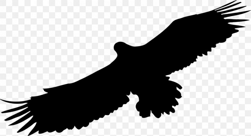 Bald Eagle Clip Art, PNG, 960x520px, Bald Eagle, Accipitriformes, Autocad Dxf, Beak, Bird Download Free