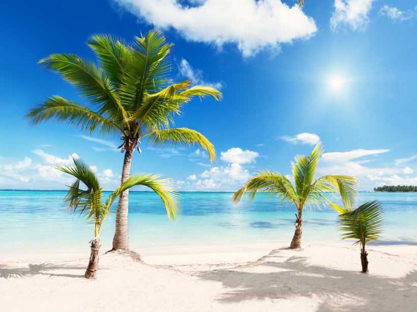 Beach Wallpaper, PNG, 1600x1200px, Beach, Arecales, Caribbean, Coast, Coastal And Oceanic Landforms Download Free