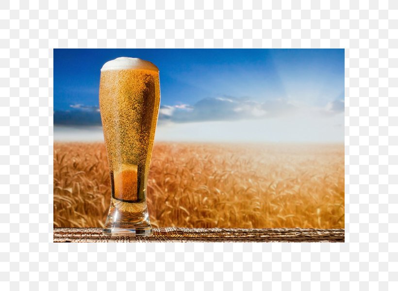 Beer Brewing Grains & Malts Brewer's Yeast Home-Brewing & Winemaking Supplies, PNG, 600x600px, Beer, Baking, Beer Brewing Grains Malts, Beetroot, Brewery Download Free