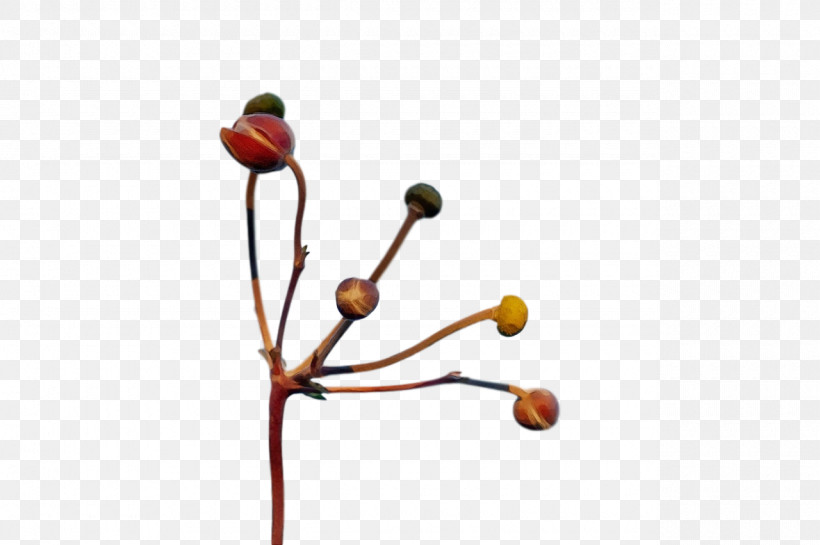 Plant Stem Twig Flower Plants Biology, PNG, 1280x851px, Watercolor, Biology, Flower, Paint, Plant Stem Download Free