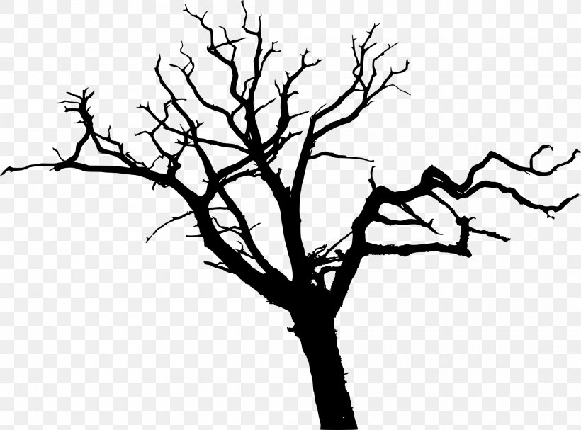 Tree Silhouette Branch Drawing, PNG, 2000x1482px, Tree, Black And White, Branch, Drawing, Flora Download Free
