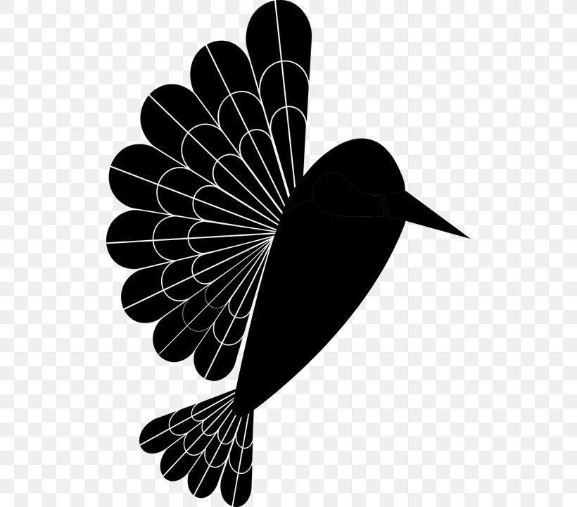 Bird Silhouette, PNG, 518x720px, Hummingbird, Beak, Bird, Bird Flight, Blackandwhite Download Free