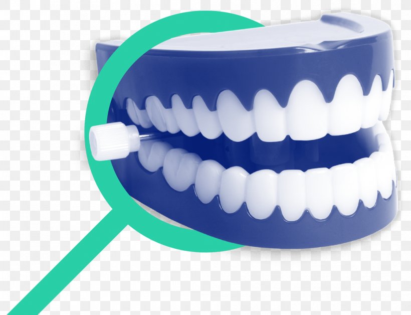 Chattery Teeth Stock Photography Wind-up Toy Human Tooth, PNG, 1042x799px, Chattery Teeth, Brush, Human Tooth, Jaw, Mouth Download Free