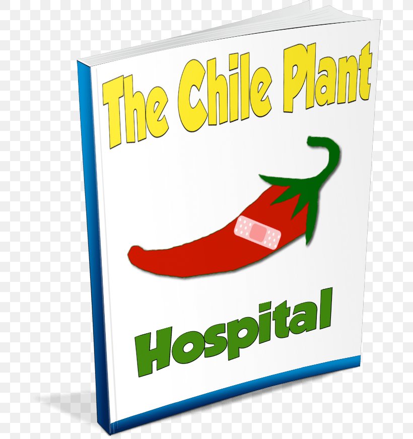 Chili Pepper Bell Pepper Morton Plant Hospital Logo, PNG, 693x872px, Chili Pepper, Area, Bell Pepper, Brand, Capsicum Annuum Download Free