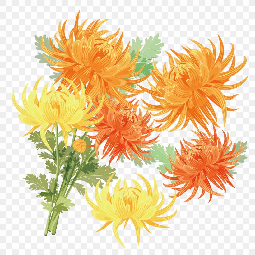 Chrysanthemum Xd7grandiflorum Gold Double Ninth Festival, PNG, 1667x1667px, Chrysanthemum Xd7grandiflorum, Chrysanthemum, Chrysanths, Cut Flowers, Dahlia Download Free