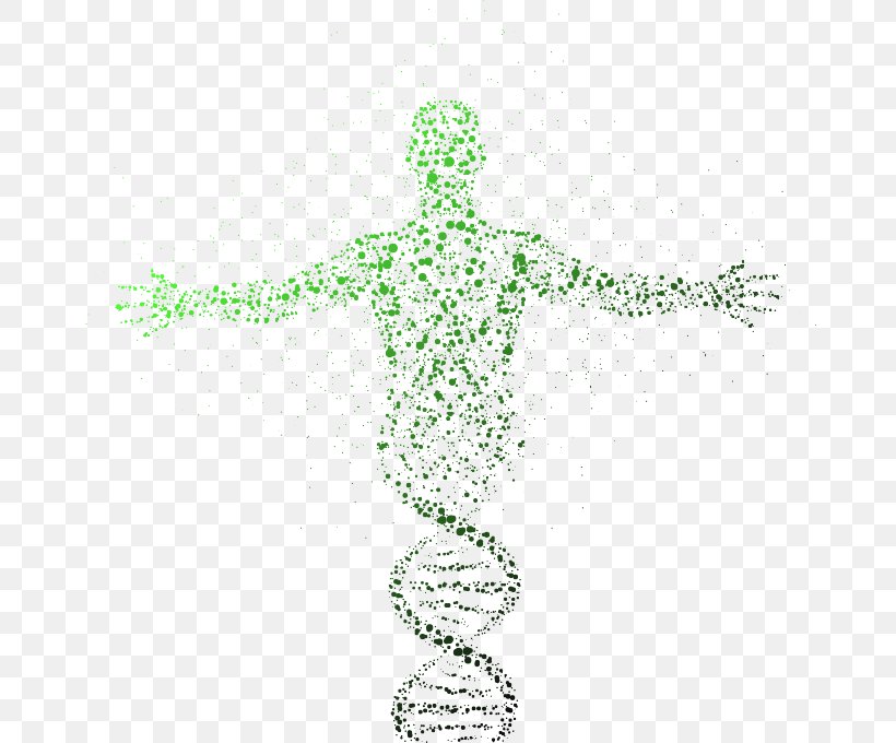 DNA Sequencing Genome Genealogical DNA Test Genetics, PNG, 680x680px, Dna, Art, Cell, Dna Sequencing, Gene Download Free