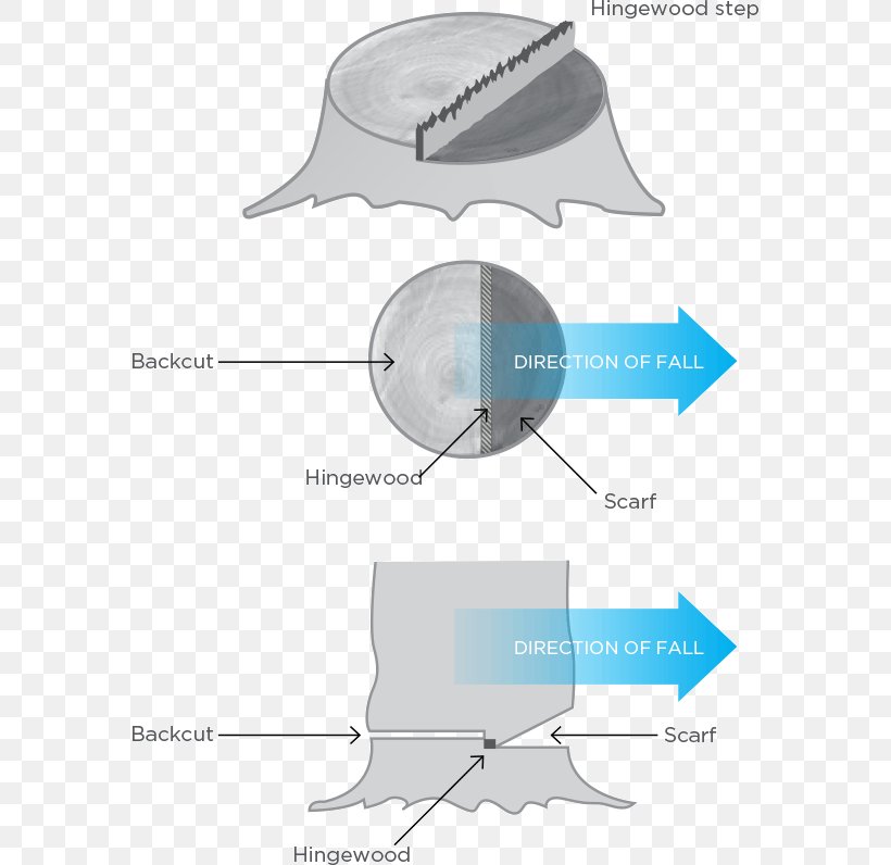 Felling Tree Care Forest Occupational Safety And Health, PNG, 576x796px, Felling, Arboriculture, Diagram, Fish, Forest Download Free