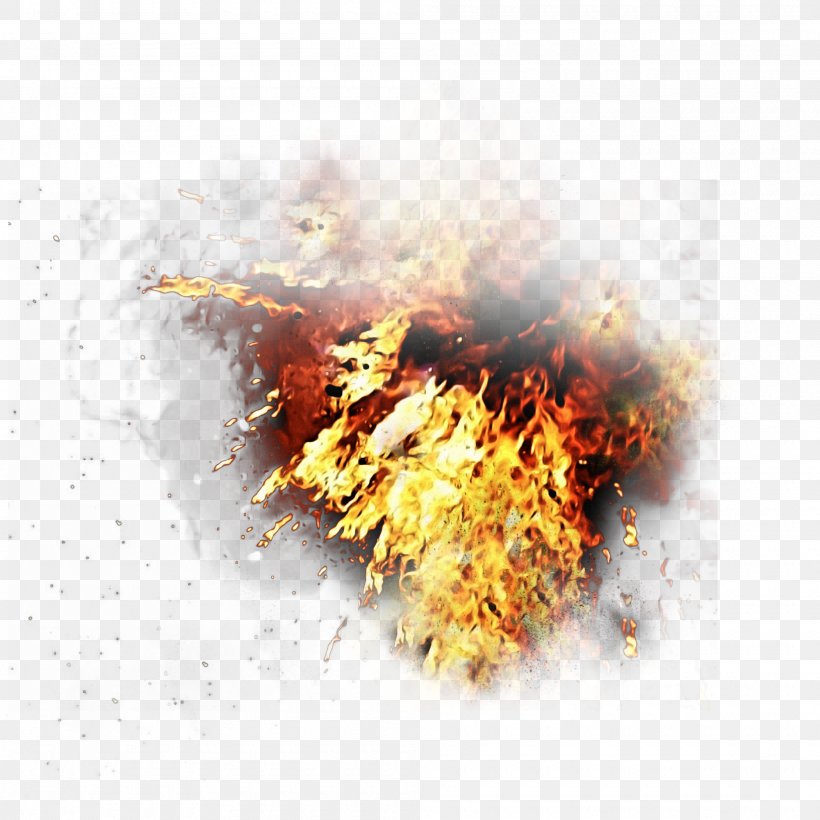 Fire Flame Design Image, PNG, 2000x2000px, Fire, Color, Computer, Designer, Flame Download Free