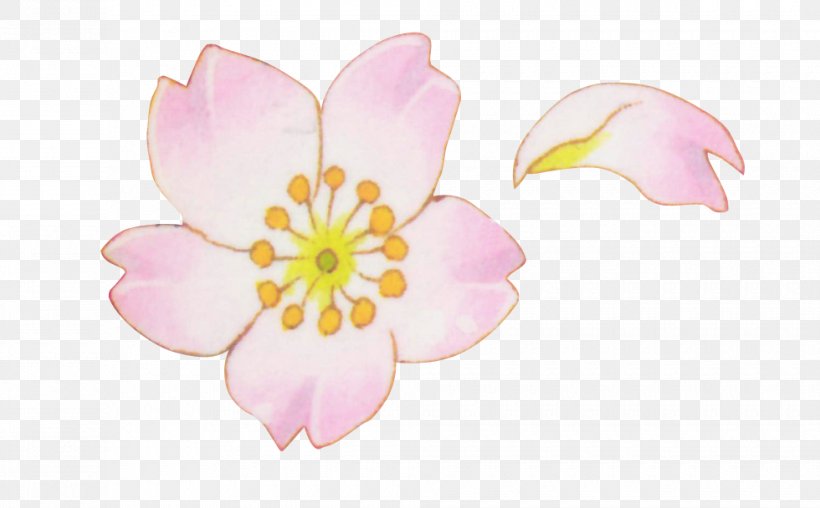 Petal Flower Blossom, PNG, 980x608px, Watercolor, Cartoon, Flower, Frame, Heart Download Free