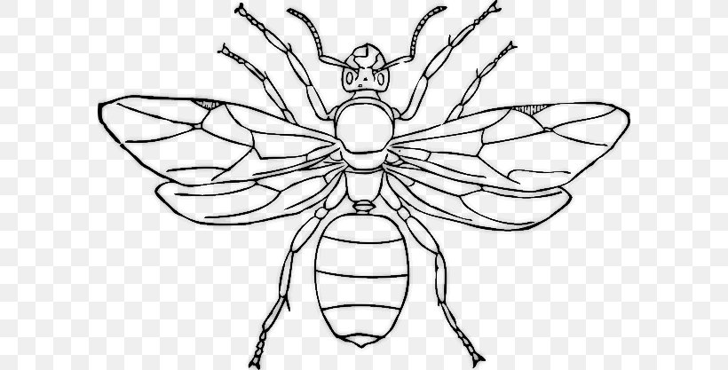 Queen Ant Insect Clip Art, PNG, 600x417px, Ant, Animal, Arthropod, Artwork, Black And White Download Free