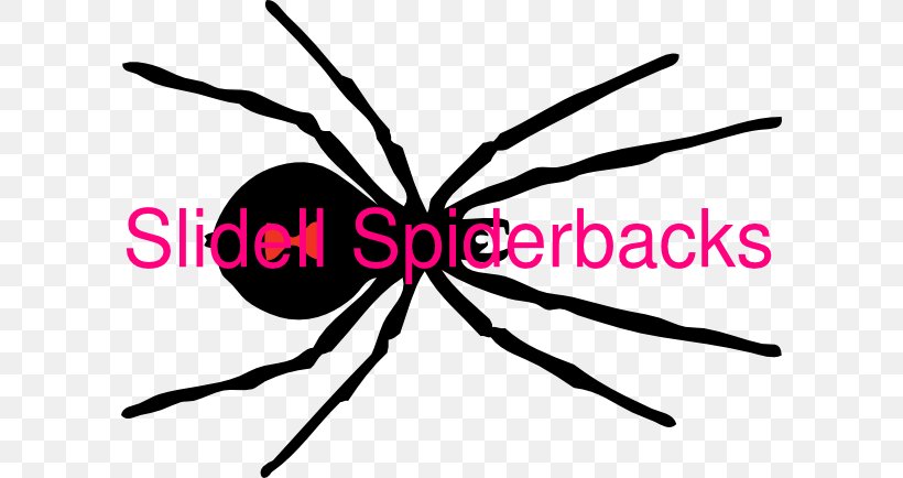 Spider Southern Black Widow Clip Art Image, PNG, 600x434px, Spider, Animal, Artwork, Black And White, Brown Recluse Spider Download Free