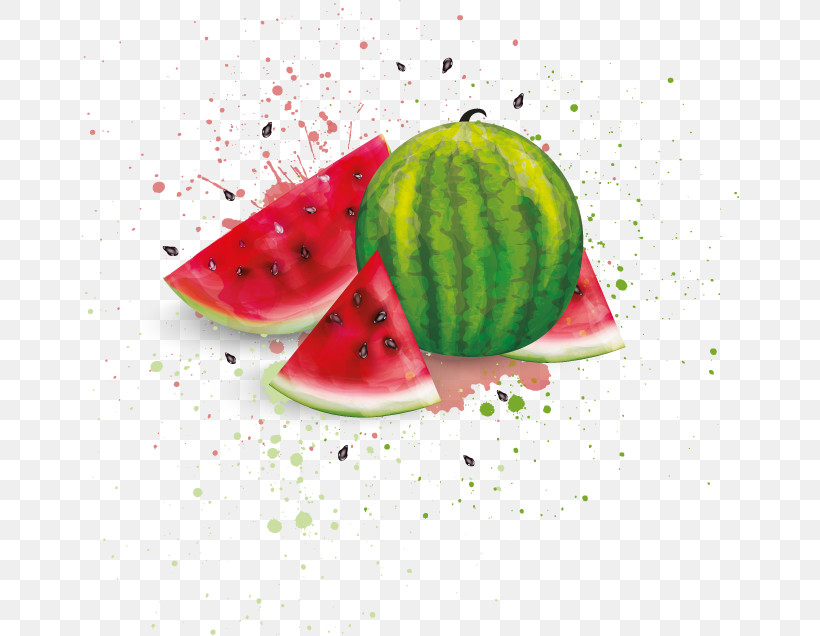 Watermelon, PNG, 658x636px, Watermelon, Citrullus, Cucumber Gourd And Melon Family, Food, Fruit Download Free