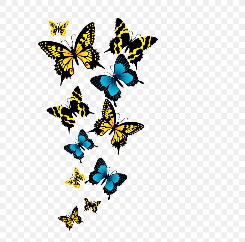 Butterfly Greta Oto Clip Art, PNG, 732x812px, Butterfly, Arthropod, Brush Footed Butterfly, Butterflies And Moths, Greta Oto Download Free
