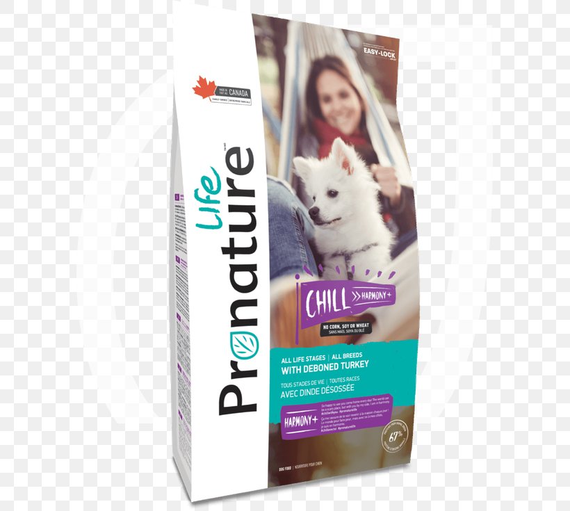 Dog Food Cat Food Kitten, PNG, 599x735px, Dog, Breed, Cat, Cat Food, Cat Supply Download Free