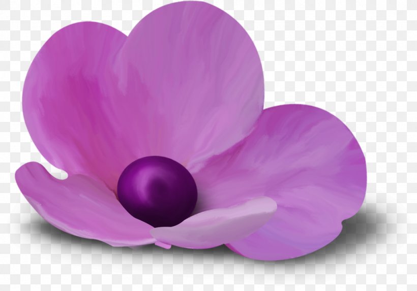 Flower Petal Clip Art, PNG, 1024x716px, Flower, Blog, Email, Garden Roses, Lilac Download Free