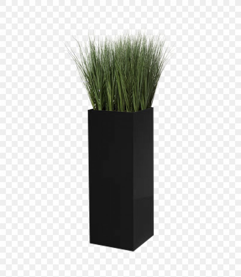 Grasses Flowerpot, PNG, 2825x3252px, Grasses, Family, Flowerpot, Grass, Grass Family Download Free