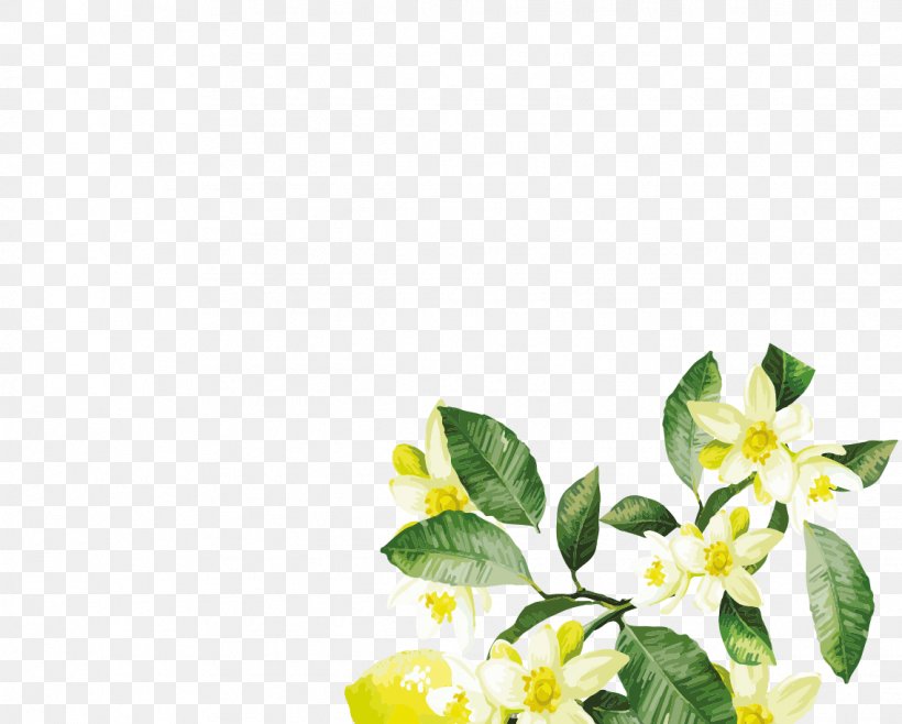 Petal Floral Design Cut Flowers Leaf, PNG, 1136x912px, Petal, Branch, Cut Flowers, Flora, Floral Design Download Free