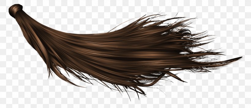 Hairstyle Wig, PNG, 1683x726px, Hair, Barrette, Eyelash, Hair Coloring, Hair Whorl Download Free