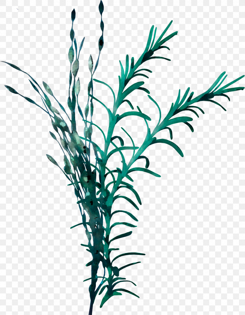 Plant Leaf Grass Grass Family Plant Stem, PNG, 1699x2180px, Plant, Branch, Flower, Grass, Grass Family Download Free