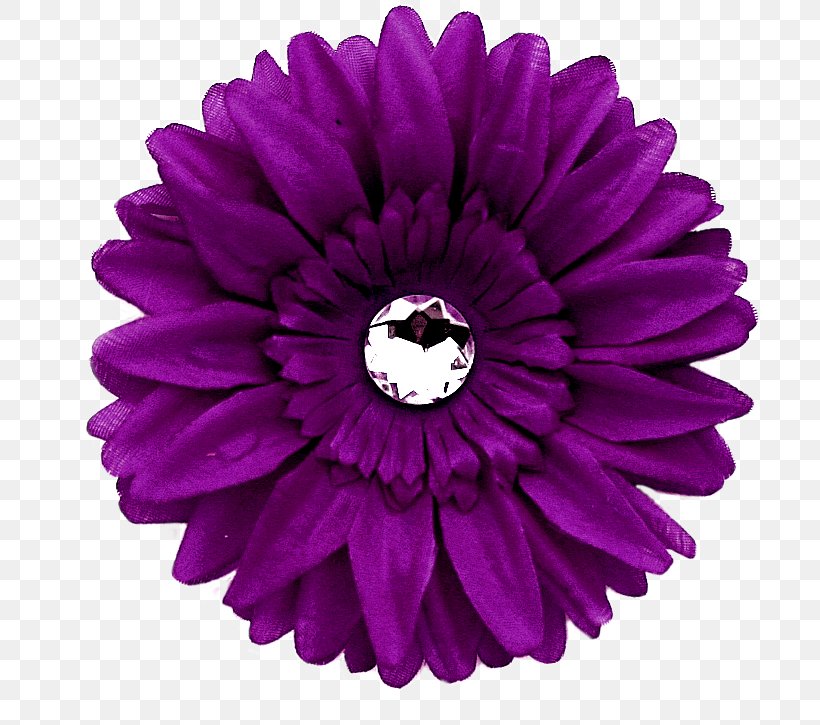 Transvaal Daisy Purple Flower Common Daisy Clip Art, PNG, 707x725px, Transvaal Daisy, Color, Common Daisy, Cut Flowers, Daisy Family Download Free